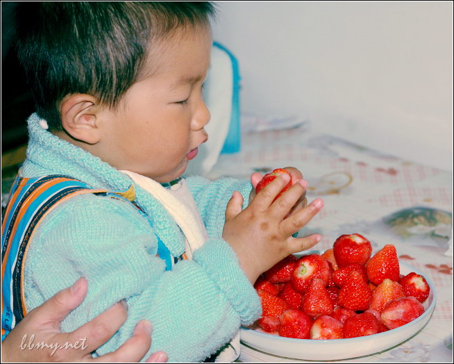 金东浩成长日记水果草莓照片jdh_11179