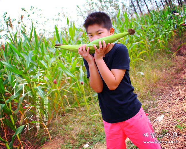金东浩成长日记农家体验摘玉米照片image