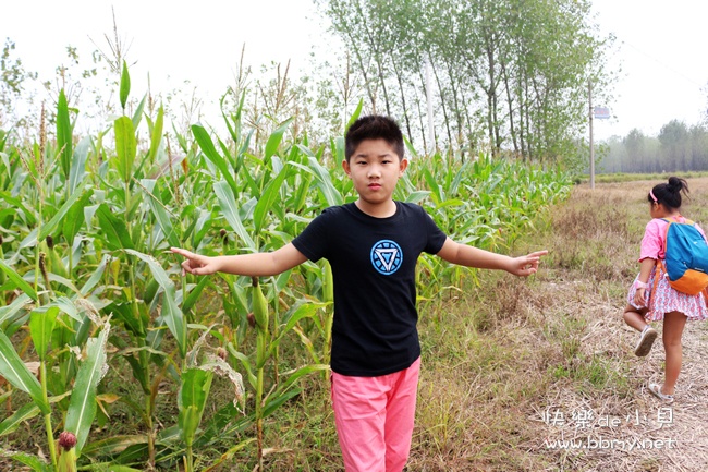 金东浩成长日记农家体验摘玉米照片image