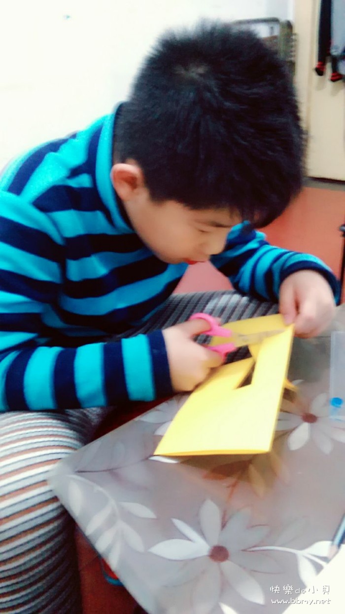 金东浩成长日记数学的手工作业照片